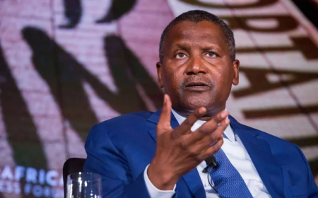 High Interest Rates In Nigeria Amounts To Importation Of Poverty --- Dangote Laments