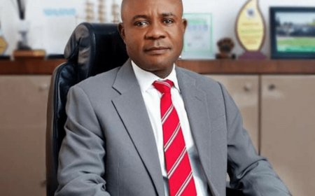 Lawyer Sues Enugu Governor, Ministry Over Alleged Rights Violations