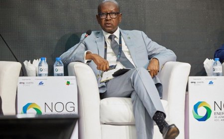NNPC Ltd Calls for Development of Institutions to Finance Energy Projects
