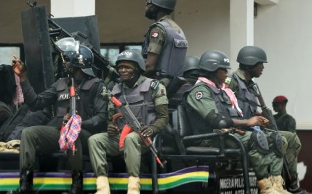 South East South South Professionals condemn police shutdown of Rivers LG secretariats