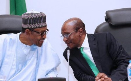 Investigation into N30tr Loans to Buhari’s administration progressing – Edun