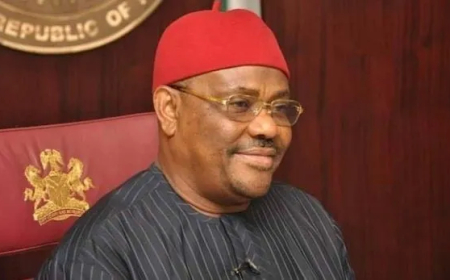 Nyesom Wike, the ugly face of Nigeria’s ‘democracy’