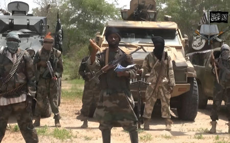 We were forced to swear oath of secrecy over Boko Haram terrorists – Ex-govt official