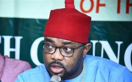 Appeal Court Didn’t Void Declaration Of 27 Rivers Lawmakers’ Seats Vacant ---- Says Ikenga Ugochinyere