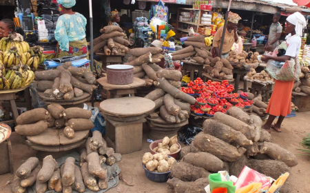 Food crisis: 82 million Nigerians may go hungry soon, UN warns