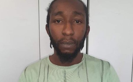 $370,000 Internet Fraud: How an Alleged Fraudster & Family Defrauded Me- American Victim