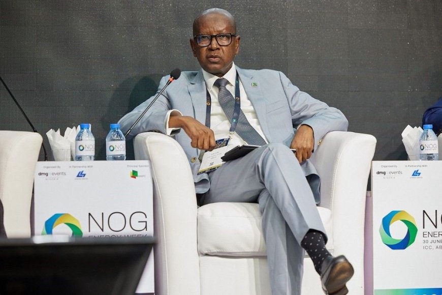 NNPC Ltd Calls for Development of Institutions to Finance Energy Projects