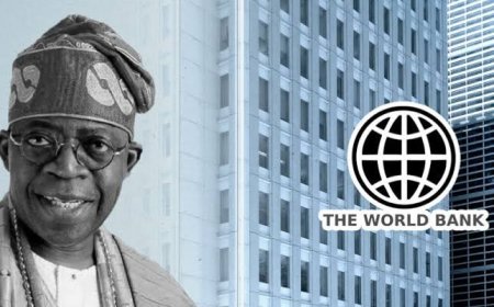 World Bank Says Nigeria Would Need 15 Years To Transform Her Economy
