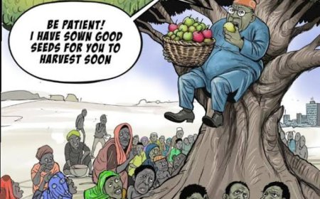 FG’s Crocodile Tears On Rising Suicide Cases