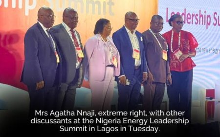 Fresh Insights into the Power Sector -- Ronke Adewale-Johnson