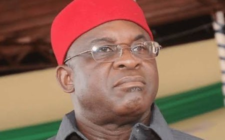 Former Senate President David Mark May Emerge PDP Chairman