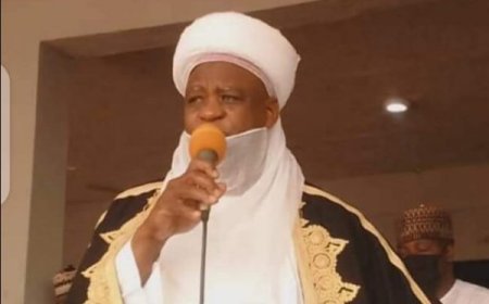Bandits taking advantage of bad roads to kidnap Nigerians – Sultan