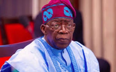 Tinubu's Cabinet Confusion: Deliberate disdain for Niger Delta, South East
