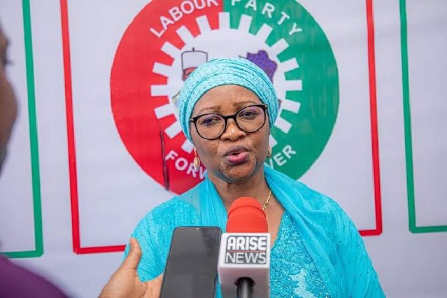 Decline On Integrity Of Nigerian Elections Raises Significant Concerns, Says LP Caretaker, Nenadi Usman