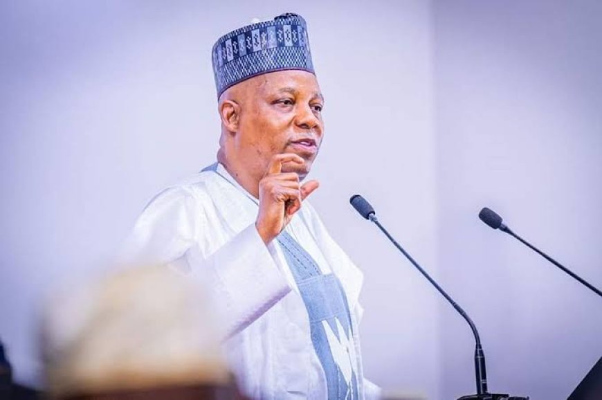 Vice President Shettima Says No Alternative To Hardship