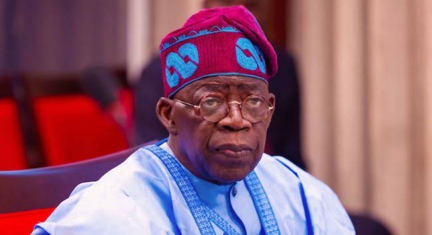 Stop misusing DSS, proxies to silence us, SERAP tells Tinubu govt