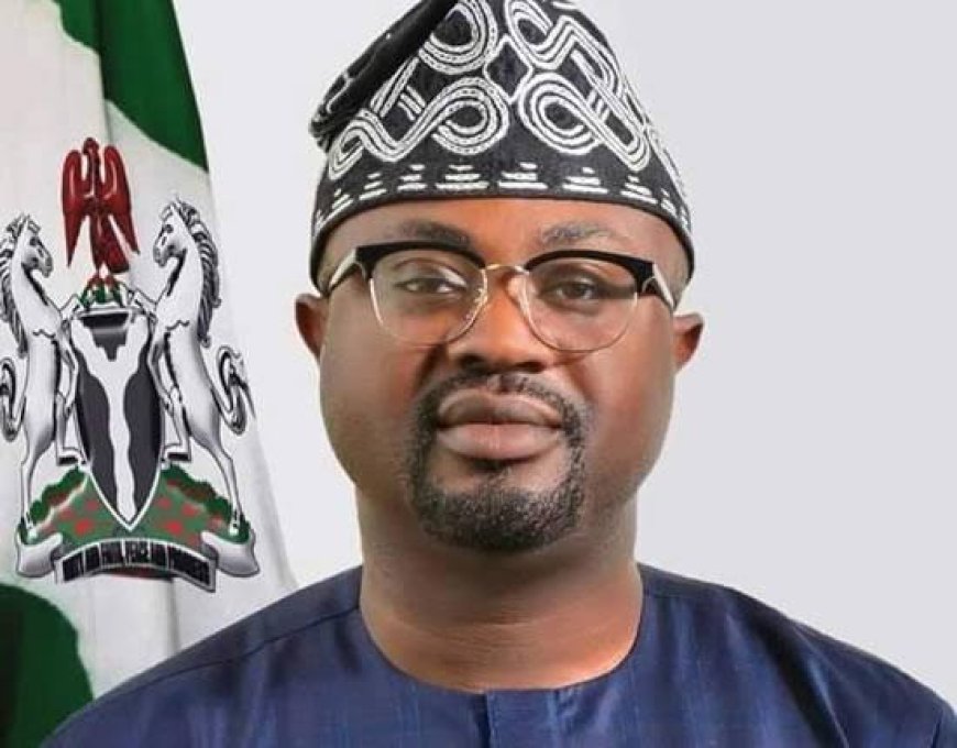 WELA commends Minister of Interior, Tunji-Ojo on 35% affirmative action