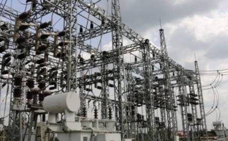 TCN Restores Power Supply To Gombe-Damaturu-Maiduguri 330kV Line