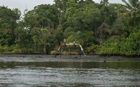 Nation of the living dead: Slapped, oppressed, does Ikwechegh represent it?