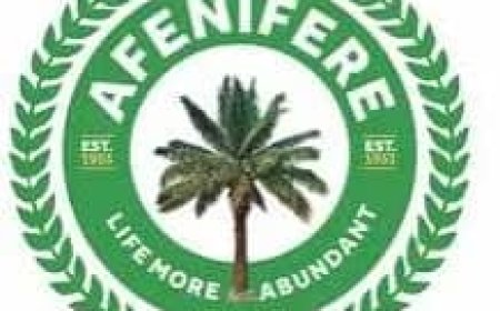 Afenifere Lampoons Tinubu's "Outragious" Bias For Yoruba In Federal Appointments