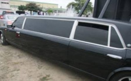 Beggars in Limousines arriving at UNGA by Dele Sobowale