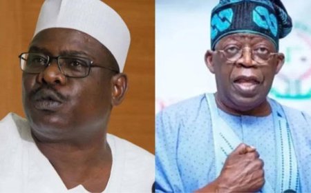 President Tinubu's Tax Reform Bill Dead On Arrival -------former Senate Chief Whip, Ali Ndume