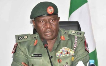 In Defence of Nepotism By Lasisi Olagunju