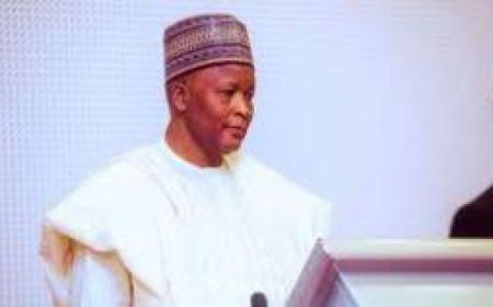 Why Tinubu removed me as minister of state — Gwarzo