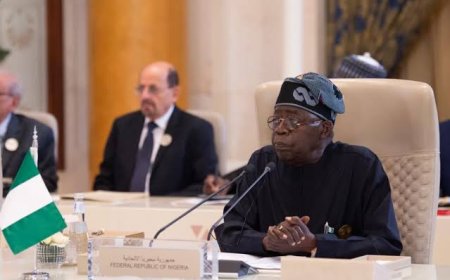 Tinubu Advocates Two- State Solution In Resolving Israel- Palestinian Conflict