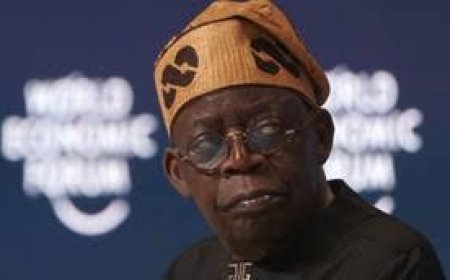 Tinubu Breached Procurement Laws Over N15Trillion Lagos-Calabar Road Project To Ally Without Competitive Bidding —Funso Doherty