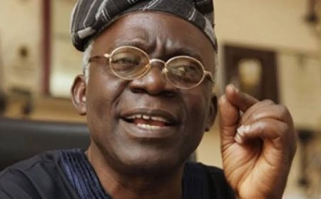 #EndBadGovernance Protest: Femi Falana Says It’s Not A Criminal Offence To Hoist Foreign Flags