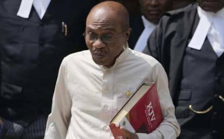 Emefiele's CBN New Naira Notes Different from President's Approval, Witness Tells Court