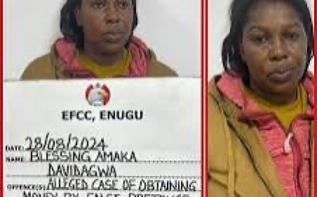 Alleged N28.2 Million Fraud: Court Denies Fake Nurse Bail,  Orders Accelerated Hearing