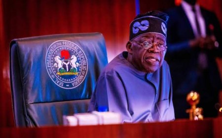 Probe ‘missing N57bn in Humanitarian Affairs Ministry, other funds’, SERAP tells Tinubu