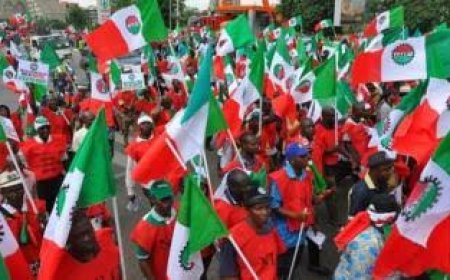 Labour Denounces NBS Over Unemployment Figure Report, Describes It is “Voodoo Document”