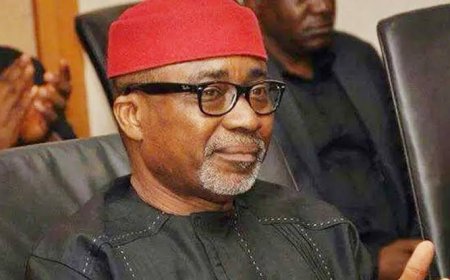 NASS Gave No Approval For Purchased Presidential Jet----- Sen Enyinnaya Abaribe!