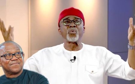 Nigeria Would've Been Better With Peter Obi AS President In 2023 Election------ Enyinnaya Abaribe