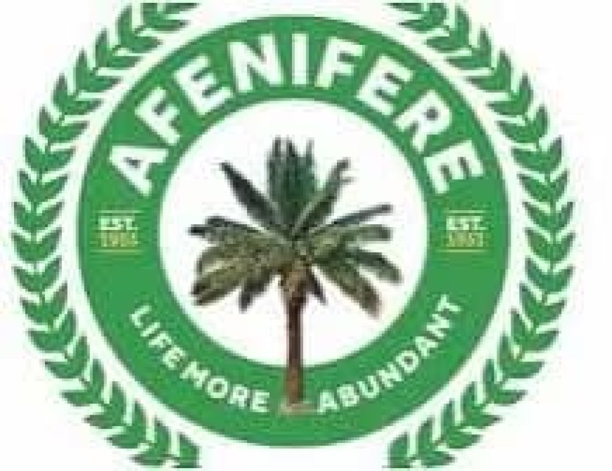 Afenifere Lampoons Tinubu's "Outragious" Bias For Yoruba In Federal Appointments