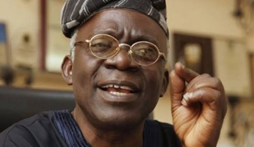 #EndBadGovernance Protest: Femi Falana Says It’s Not A Criminal Offence To Hoist Foreign Flags