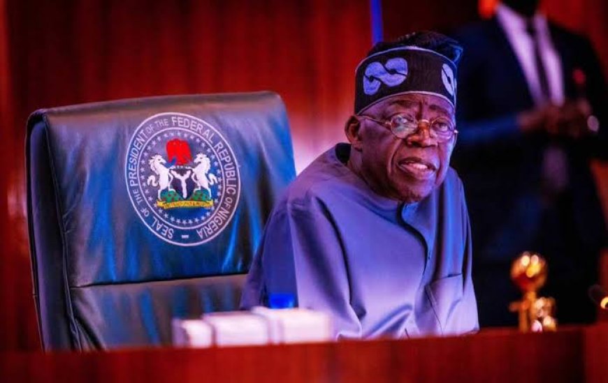 Tinubu's Reforms Unpopular, Nigerians More Polarised Now Than Ever, Says Report