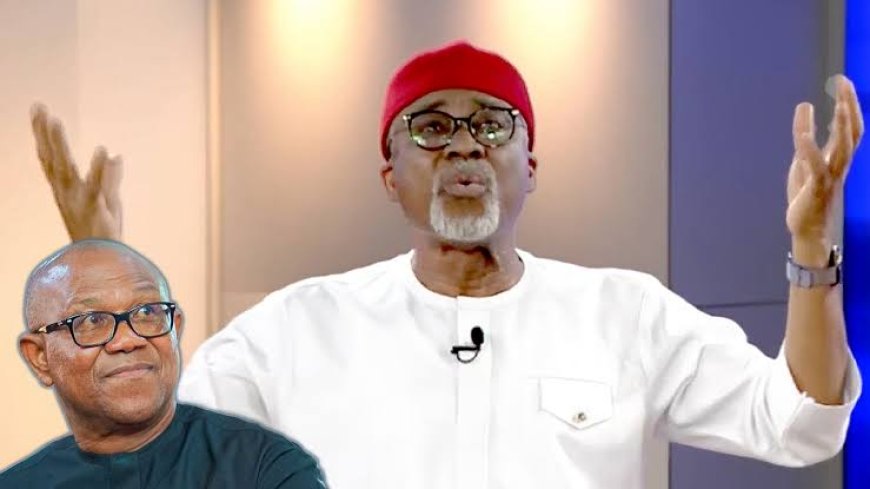 Nigeria Would've Been Better With Peter Obi AS President In 2023 Election------ Enyinnaya Abaribe