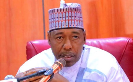 Gov. Zulum Says Insurgency Reduced By 90 Per Cent In the Northeast