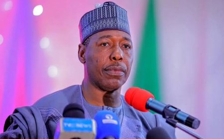 Gov. Zulum Speaks On Why Northern Govs Asked Tinubu To Pause His Tax Reform Bills