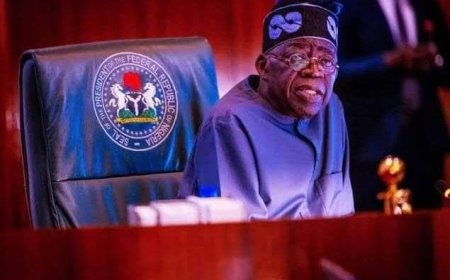 Tax Reform Bills Didn't Recommend Scrapping Of TETFUND, NASENI, NITDA - FG