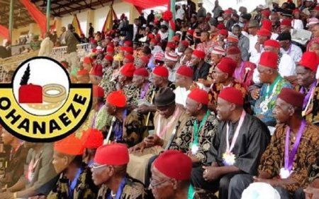 Rivers State To Produce Next President General, Ohanaeze Ndigbo ------ Ohanaeze NEC