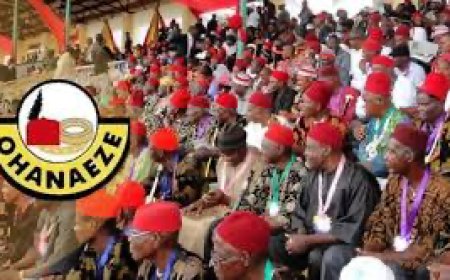 Ohanaeze Ndigbo Didn't Meet To Endorse Proposed Anioma State