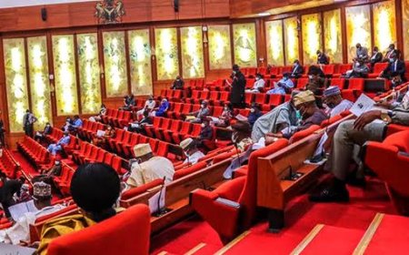 Why South- East Senate Caucus Calls For Wide Consultation On Tinubu's Tax Reform Bills