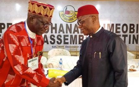 My Observations On The Illegal Ohanaeze Meeting Which Threw Up Nze Fidelis Ozichukwu As President General ----Chief Omenazu Jackson.