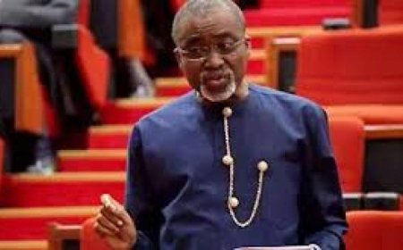 Igbo Remain Most Marginalised Group In Nigeria, Says Senator Abaribe