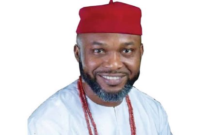 Southeast Loses N17.4tn Due To Absence Of Sixth State, Osita Chidoka